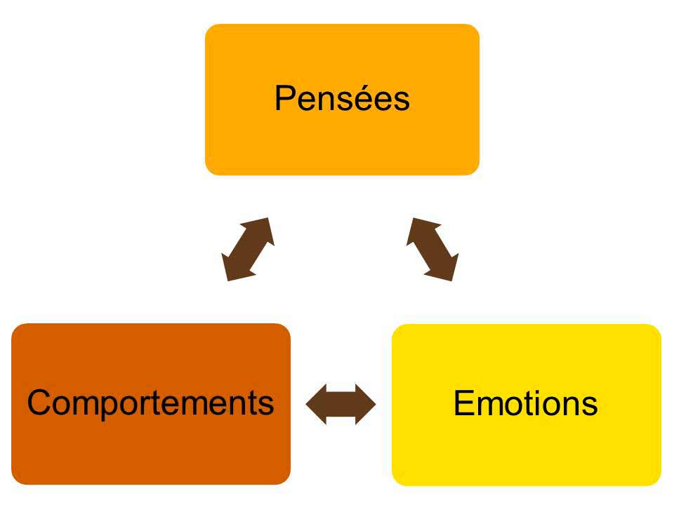 Schéma sur l'interaction entre pensées, comportements et emotions en thérapie comportementales et cognitives